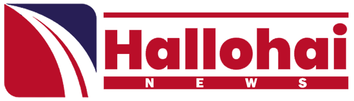 hallohai news